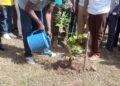 Upper West Region Targets 600,000 Trees for Green Ghana Day 2024